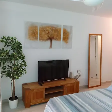 House Maria Ps2 Apartament Playa de las Americas (Tenerife)